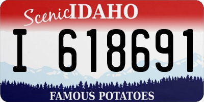 ID license plate I618691