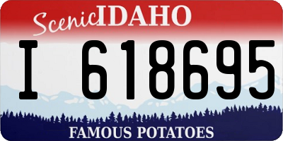 ID license plate I618695