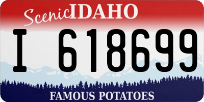 ID license plate I618699