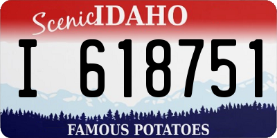 ID license plate I618751