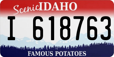 ID license plate I618763