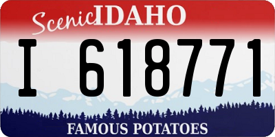 ID license plate I618771