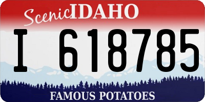 ID license plate I618785