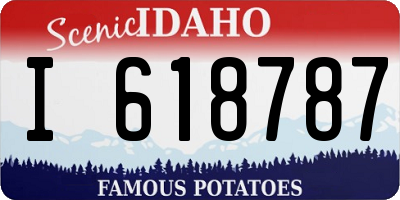 ID license plate I618787