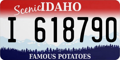 ID license plate I618790