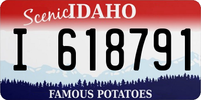 ID license plate I618791