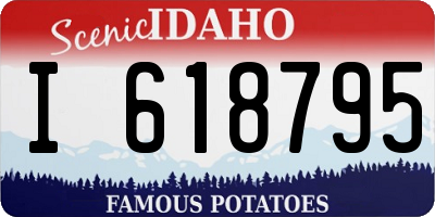 ID license plate I618795