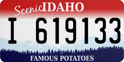 ID license plate I619133