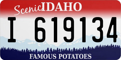 ID license plate I619134