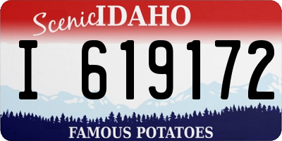 ID license plate I619172