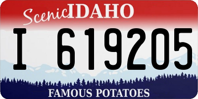 ID license plate I619205