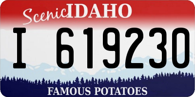 ID license plate I619230