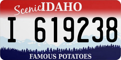 ID license plate I619238