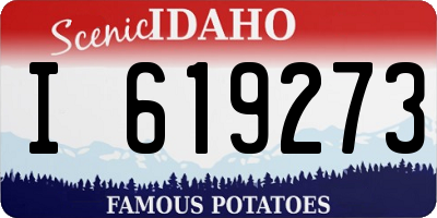 ID license plate I619273