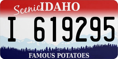 ID license plate I619295