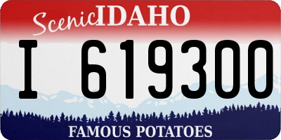 ID license plate I619300