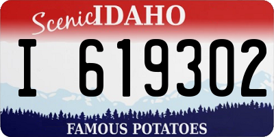 ID license plate I619302