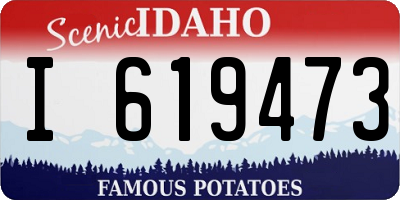 ID license plate I619473