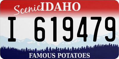 ID license plate I619479