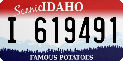 ID license plate I619491