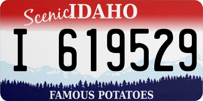 ID license plate I619529