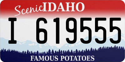 ID license plate I619555