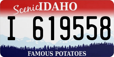 ID license plate I619558