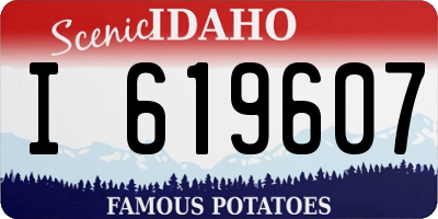 ID license plate I619607