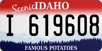 ID license plate I619608