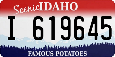 ID license plate I619645