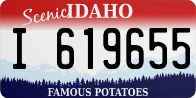 ID license plate I619655