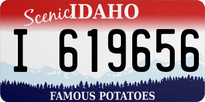 ID license plate I619656