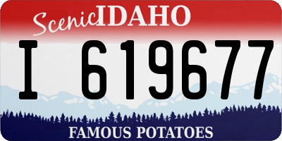 ID license plate I619677