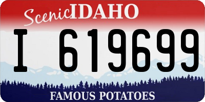 ID license plate I619699