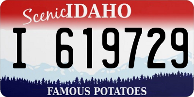ID license plate I619729