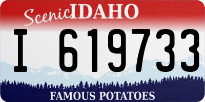 ID license plate I619733