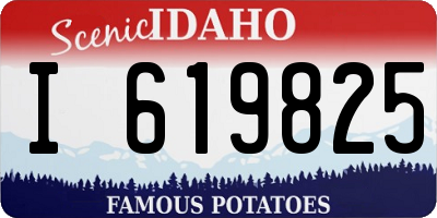 ID license plate I619825