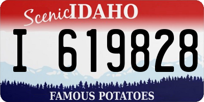 ID license plate I619828