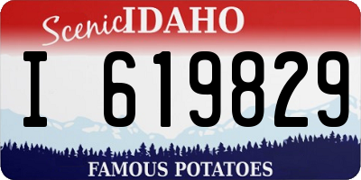 ID license plate I619829