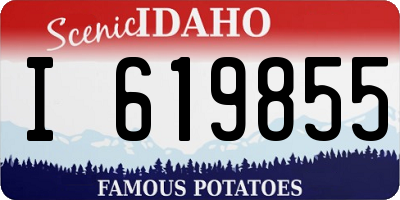 ID license plate I619855