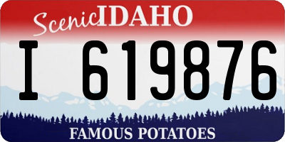 ID license plate I619876