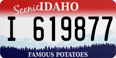 ID license plate I619877