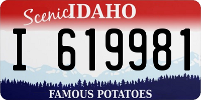 ID license plate I619981