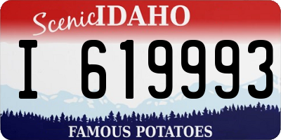 ID license plate I619993
