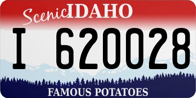 ID license plate I620028