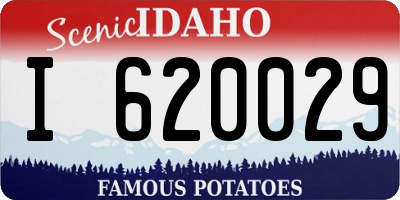 ID license plate I620029