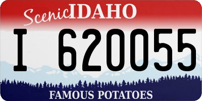 ID license plate I620055