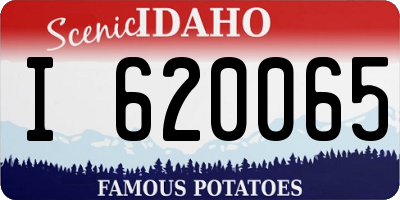 ID license plate I620065