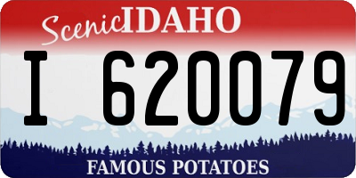 ID license plate I620079