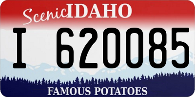 ID license plate I620085